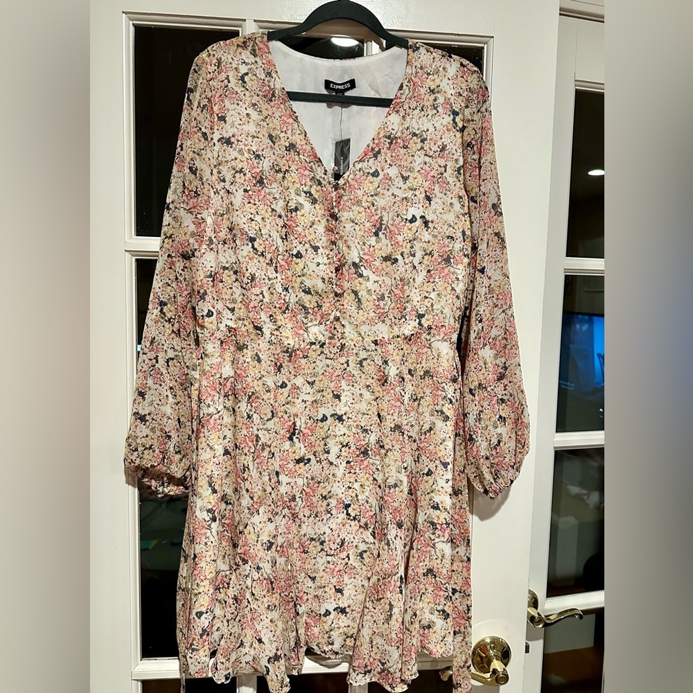 Express Multicolor Floral Long Sleeve Dress